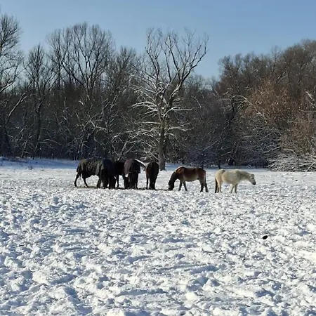 公寓 Tuenderkert Tuenderfeszek Vendeghaz Szodliget