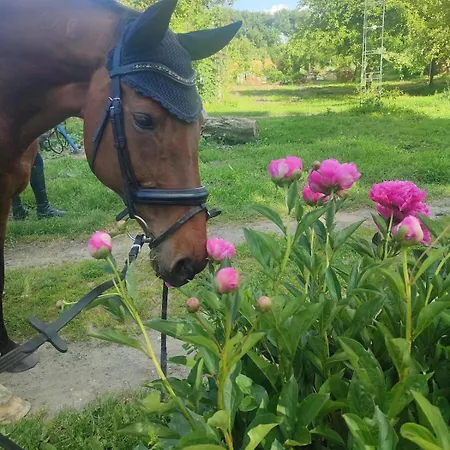 Tuenderkert Tuenderfeszek Vendeghaz 公寓