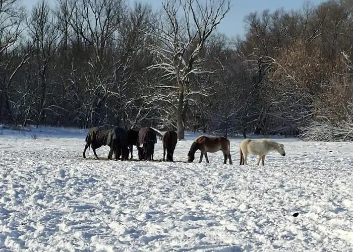 公寓 Tuenderkert Tuenderfeszek Vendeghaz Szodliget