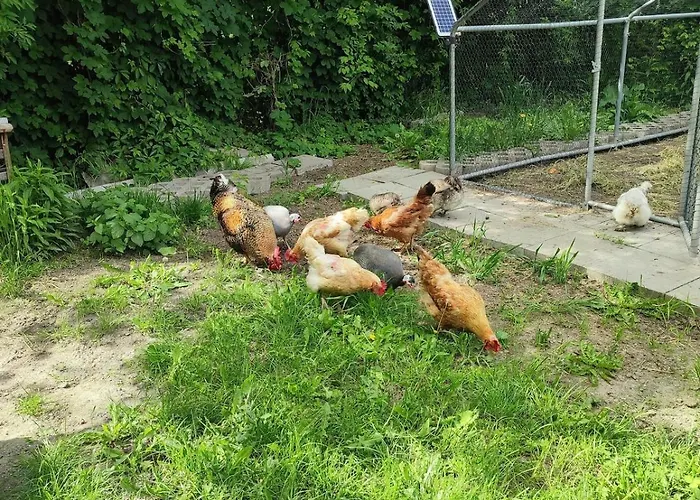 Tuenderkert Tuenderfeszek Vendeghaz