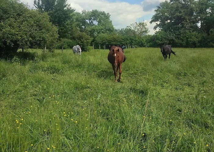 Tuenderkert Tuenderfeszek Vendeghaz * Szodliget