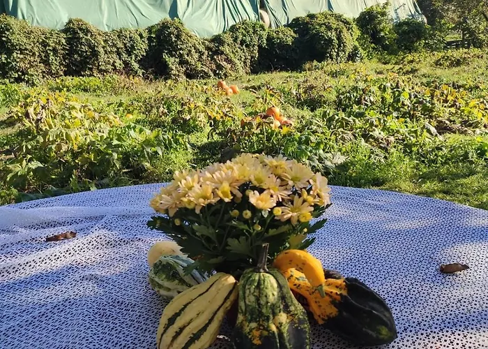 公寓 Tuenderkert Tuenderfeszek Vendeghaz *